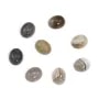 Cabochon agate du boswana, de forme ovale, 7x9mm x 4pcs