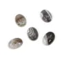 Cabochon agate du boswana, de forme ovale, 5x7mm x 4pcs