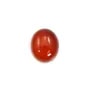 Cabochon cornaline ovale 8x10mm x 4pcs