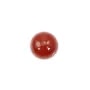 Cabochon cornaline ronde 12mm x 2pcs
