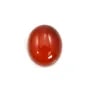 Cabochon cornaline ovale 10x12mm x 4pcs