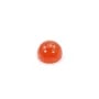 Cabochon cornaline ronde 4mm x 4pcs