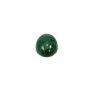 Cabochon Malachite Ovale 13x18mm  x 1pc