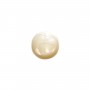 Cabochon ovale 15x20 mm Nacre Blanc x1pc