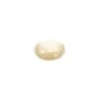 Round cabochon 14mm White Mother-of-Pearl x1