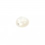 Cabochon rond 10 mm Nacre Blanc x1