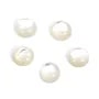 Round cabochon 6mm White Mother-of-Pearl x2