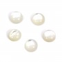 Cabochon rond 8 mm Nacre Blanc x1