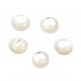 Round cabochon 8mm White Mother-of-Pearl x1