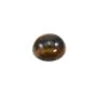 Cabochon l'oeil de tigre ronde plat 14mm x 1pc