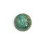 Cabochon chryscolle,en forme de rond 6mm x 2pcs