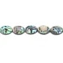 Nacre d'ormeau en oval sur fil 13x18mm x 40cm