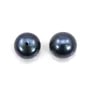Perle de culture d'eau douce, semi-percée, bleu foncé, bouton, 10-10.5mm x 2pcs