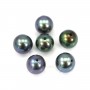 Perle de culture d'eau douce semi-percée, bleu foncé, ronde, 4.5-5mm x 2pcs