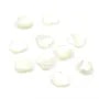 Nacre blanche en forme de coeur 8mm x 5pcs