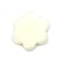 Nacre blache en forme de fleur à 6 pétales 12mm x 4pcs