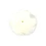 White mother-of-pearl half drilled rose 15mm x 1pc