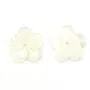 Nacre blanche en forme de fleur à 5 pétales 15mm x 1pc