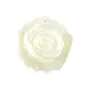 Natural shell ''Flower'' in a bag 15mm x 1pc