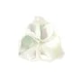 Nacre blanche en forme de fleur à 3 pétales 12mm x 1pc