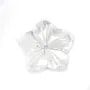 Nacre blanche en fleur de 5 pétales 8mm x 1pc