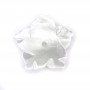 Nacre blanche en fleur de 5 pétales 8mm x 1pc