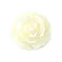Nacre blanche en rose semi-percée 25mm x 1pc