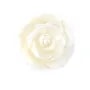 Nacre blanche en rose semi-percée 20mm x 1pc