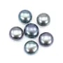 Perle de culture d'eau douce half-percée, bouton, bleue, 5-5.5mm  x 1pc