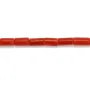 Corail rouge Naturel tube 3x5mm x 50cm