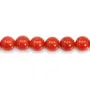 Coral Vermelho Natural Redondo 3mm x 45cm