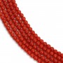Natural Red Coral Round 3mm x 45cm