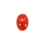 Cabochon di corallo rosso naturale ovale 4x6mm x 1pc