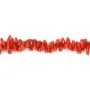 Rote Koralle Natur Barock Tube x 50cm