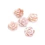 Nacre rose semi percée en forme de fleur (rose) 10mm x 1pc