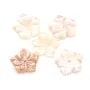 Pink mother-of-pearl 5 petal flower 15mm x 1pc