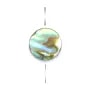 Nacre d'ormeau en rond plat 8mm x 10 pcs