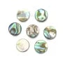 Nacre d'ormeau en rond plat 8mm x 10 pcs