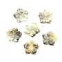 Nacre grise en forme de fleur à 5 pétales 12mm x 1pc