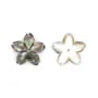 Nacre grise en fleur à 5 pétales 12mm x 1pc