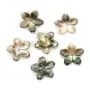 Nacre grise en fleur à 5 pétales 12mm x 1pc