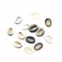 Nacre grise en oval évidé 4x6mm x 20 pcs