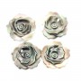 Nacre grise en forme de rose 12mm x 1pc