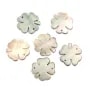 Nacre grise en forme de trèfle à 4 feuilles 13mm x 1pc