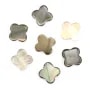 Nacre grise en forme de trèfle 10mm x 4 pcs