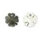 Nacre grise en forme de trèfle à 4 feuilles 10mm x 1pc