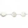 Nacre blanche Rose 15mm x 41 cm (15pcs)