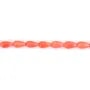 Bambou de mer teinté rose goutte 5x9mm x 40cm