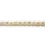 Freshwater cultured pearls, white, half-round, 5-5.5mm x 36cm