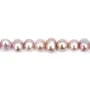 Perle de culture d'eau douce, mauve, ovale, 6-6.5mm x 37cm
